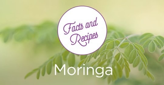 Moringa, A Miracle Product