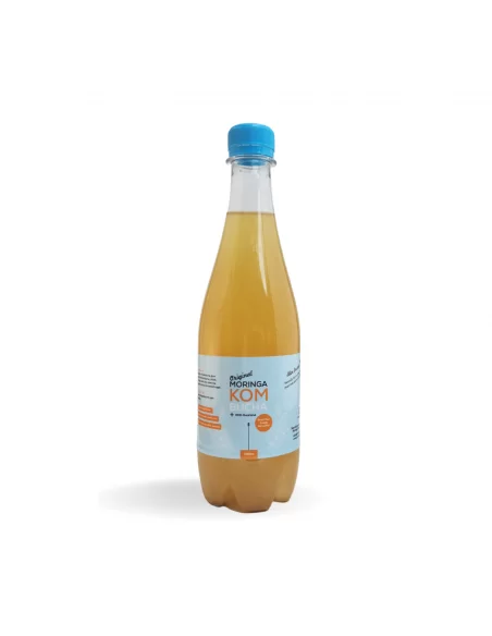 Moringa Guarana Kombucha Drink (500ml) | Moringa World