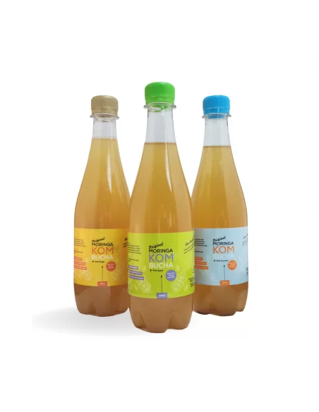Moringa Guarana Kombucha Drink (500ml) | Moringa World