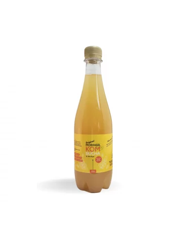 Moringa Ginger Kombucha Drink (500ml)
