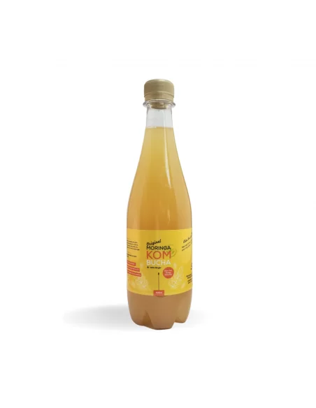 Moringa Ginger Kombucha Drink (500ml)
