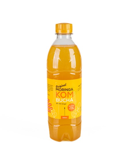 Moringa Ginger Kombucha Drink (500ml) | Moringa World
