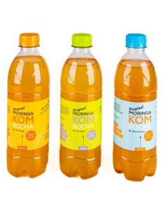 Moringa Guarana Kombucha Drink (500ml) | Moringa World 2