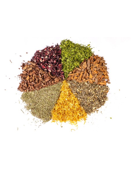 Goddess Yoni Steam (Triple Pack) | Moringa World