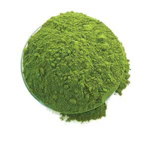 Moringa Leaf Powder in Bulk