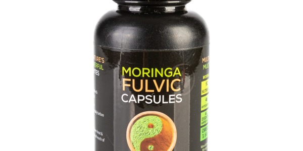 Moringa and Gut Health: How This Superfood Supports Digestion and the Microbiome