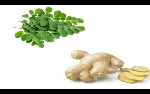 Moringa & Ginger - The Miraculous Combination That Fights The Deadliest Diseases Of The 21st Century
