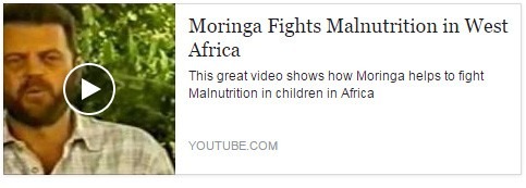 Moringa Doing Great Work Fighting Malnutrition In Africa