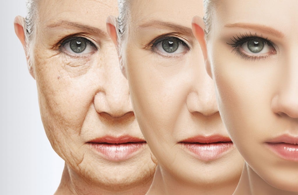 Moringa, The Anti-Aging Superfood